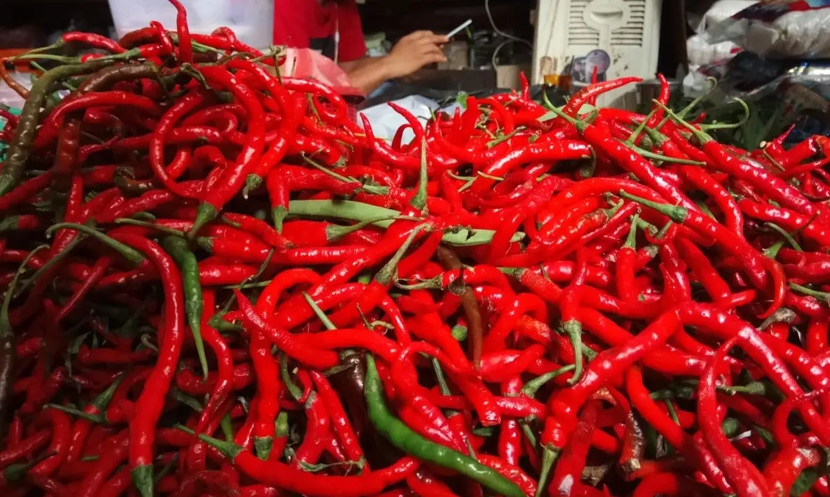 <p id="isPasted">BPS: Cabai-Daging Ayam Picu Inflasi September 0,21%</p>