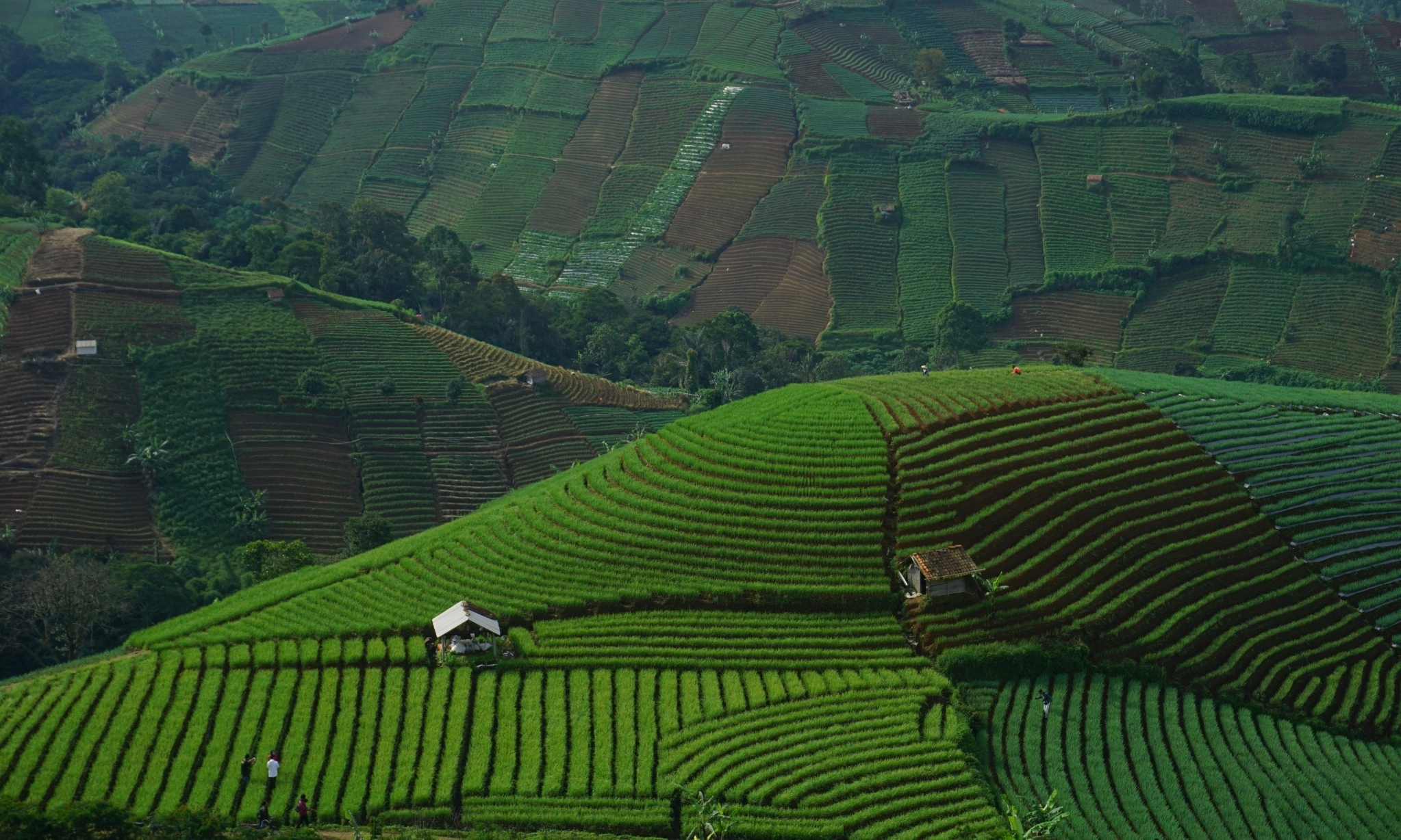 <p>Memanjakan Mata Di Destinasi Wisata Terasering</p>