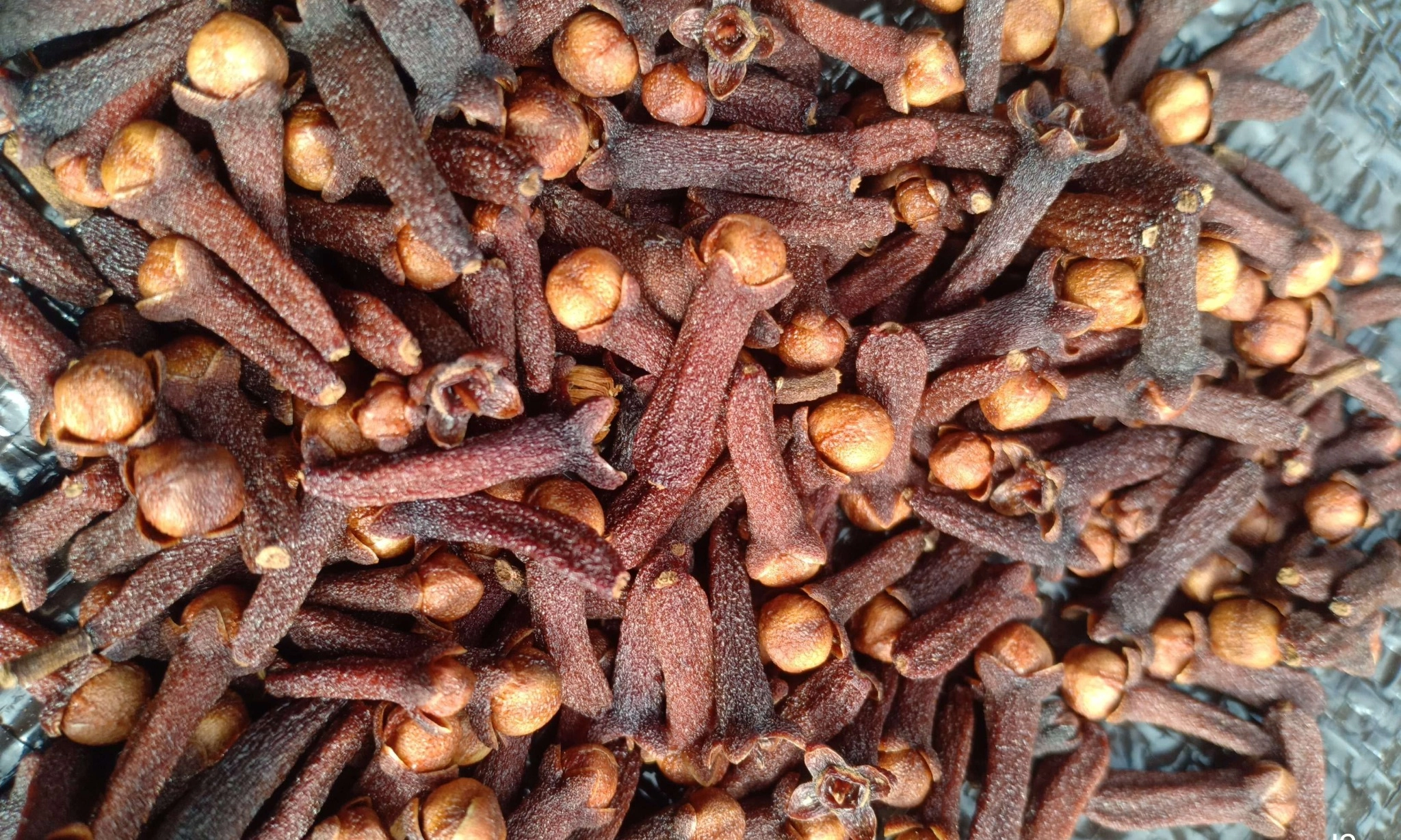 <p>KLH Selidiki Dugaan Cemaran Cs-137 Pada Cengkih</p>