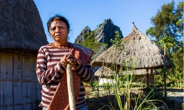 <p>Mama Aleta Dan Aksi Tenun Damai Yang Menyelamatkan Hutan</p>
