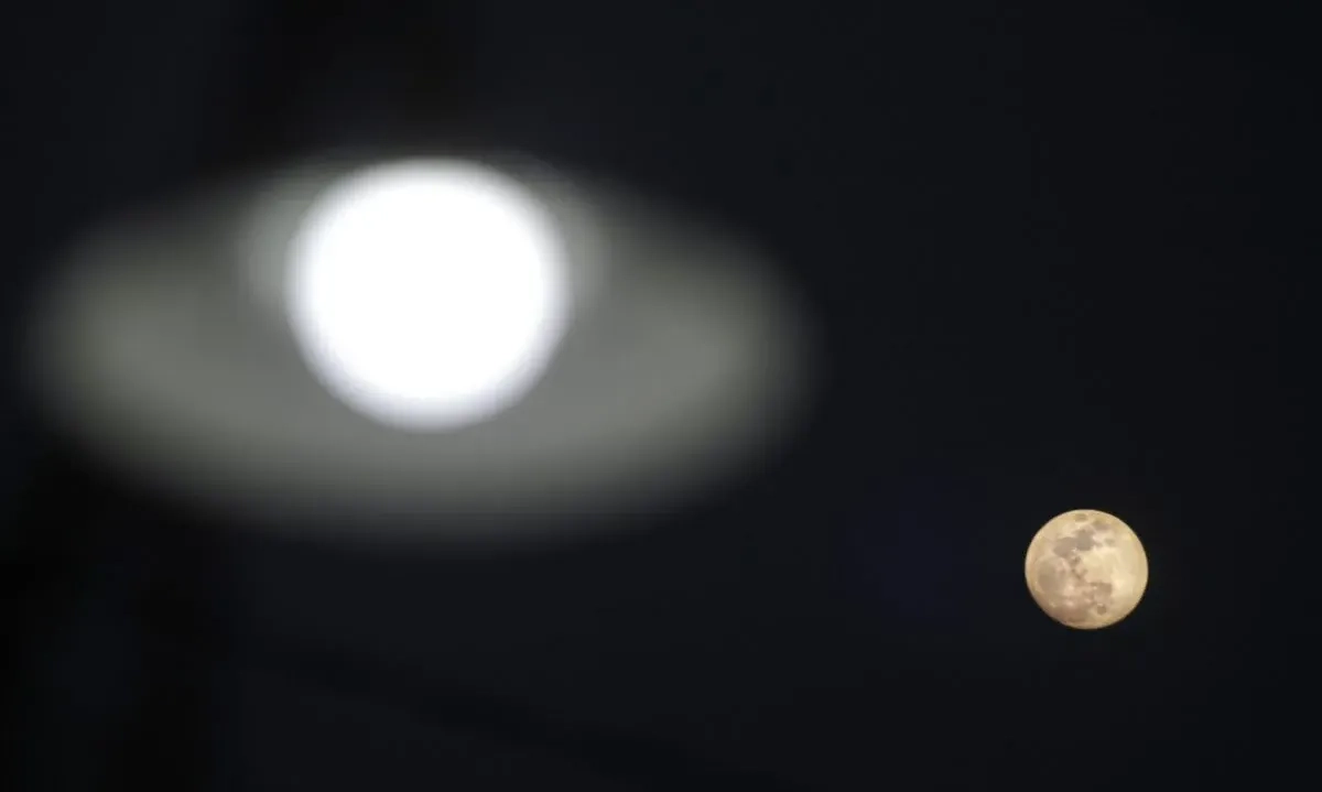 <p><em>Supermoon</em> Sebabkan Perubahan Perilaku Hewan</p>