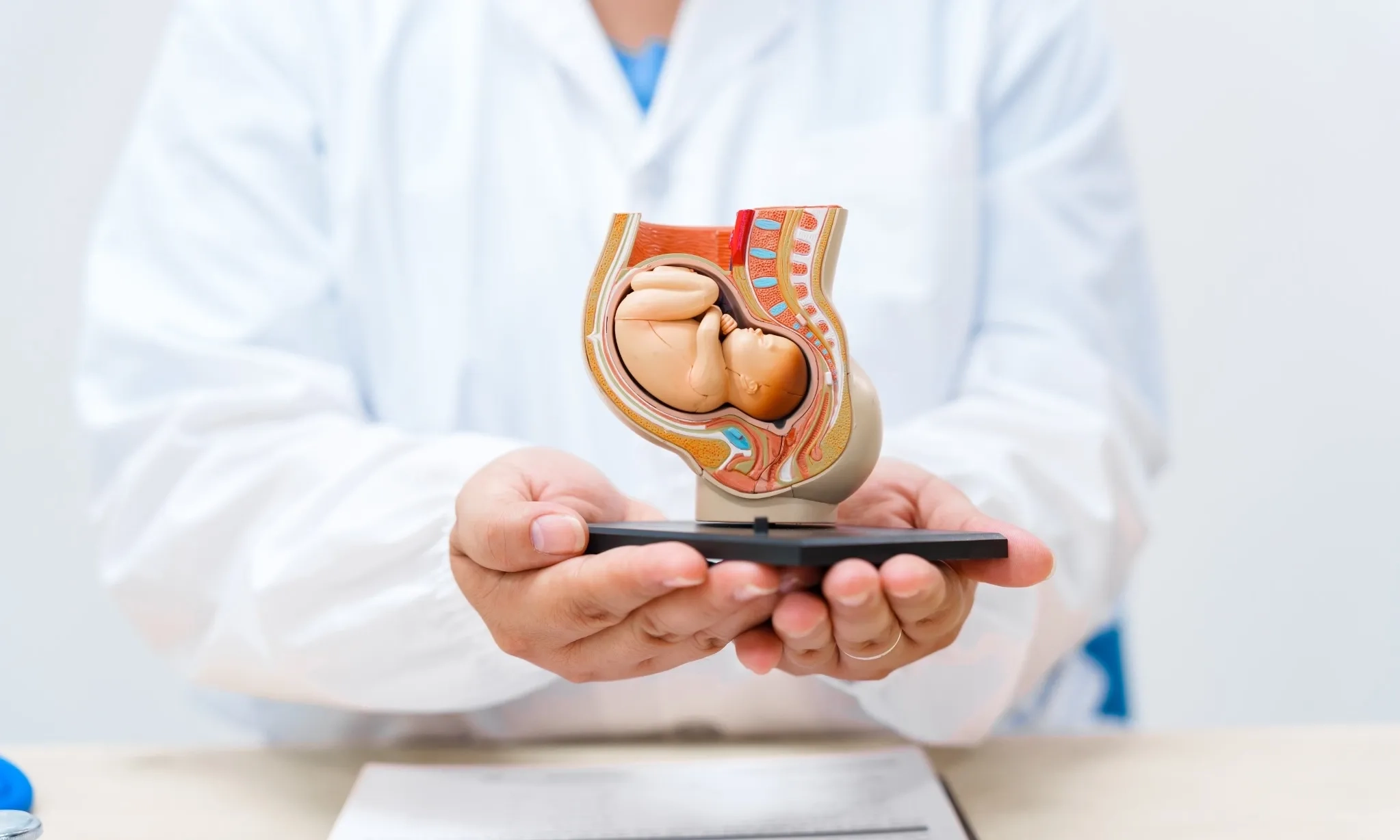 <p id="isPasted">Hormon Oksitosin Bisa Membuat Embrio Hibernasi</p>