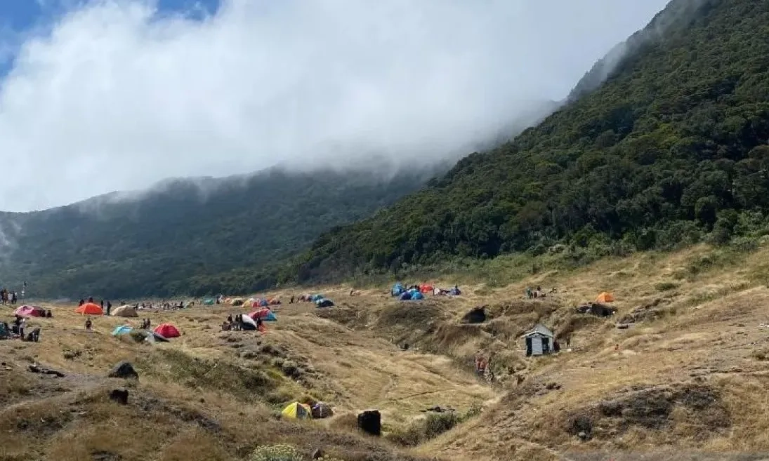 <p>Pendakian Gunung Gede Pangrango Ditutup Sementara, Ini Alasannya</p>