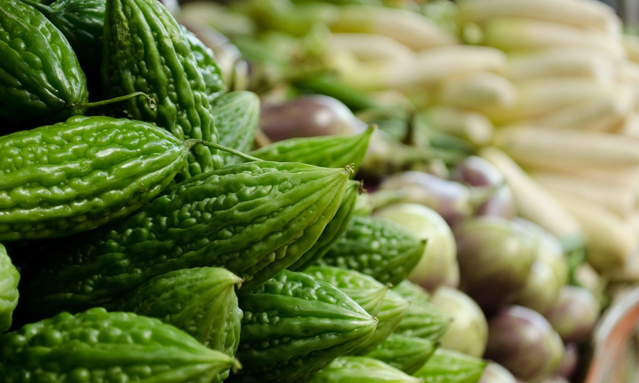 <p>Ini Dia Makanan Pahit Yang Baik Untuk Kesehatan Tubuh</p>