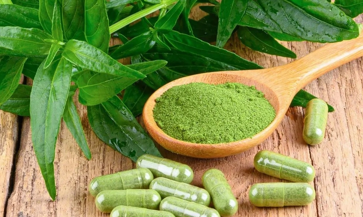 <p>BPOM Intensifkan Fitofarmaka Untuk Obat</p>