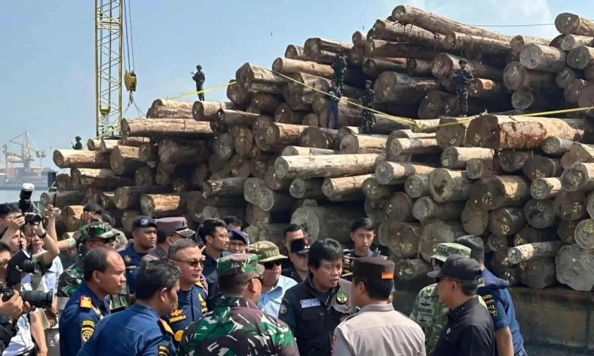 <p>Satgas Ungkap Asal Kayu Ribuan Meter Kubik Kayu Sitaan di Gresik</p>