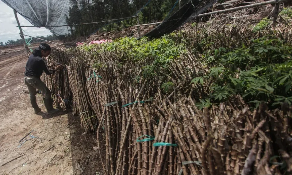 <p>Ada B50 dan E10, Zulhas: <em>Enggak</em> Ada Lagi Lahan Pertanian Kosong</p>