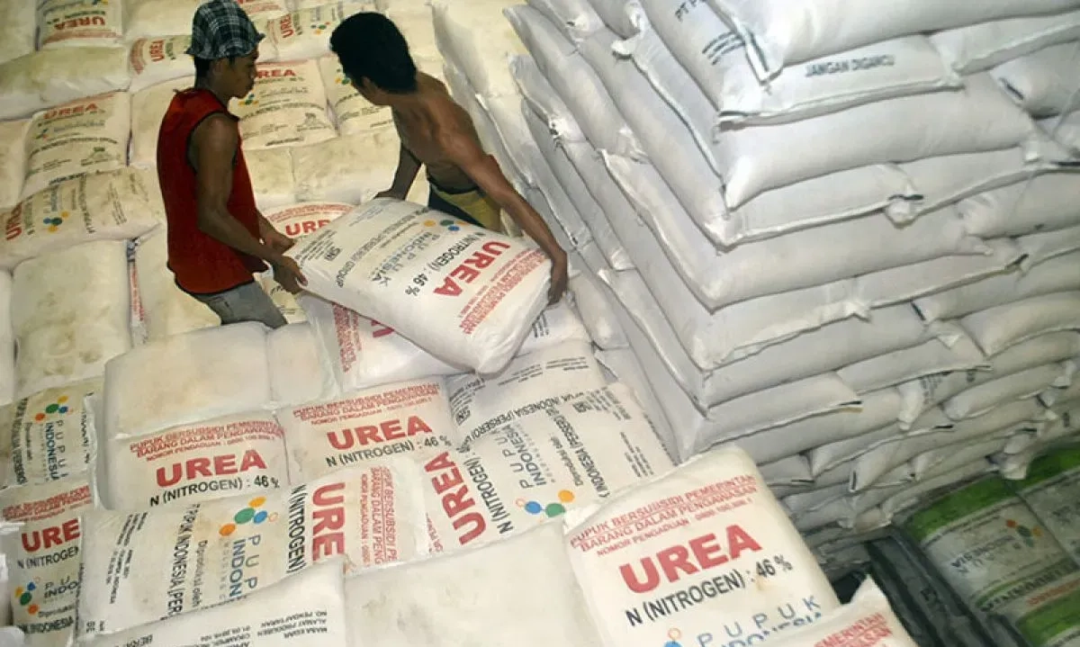 <p>Amran: Efisiensi Prabowo Bikin Harga Pupuk Subsidi Turun 20%!</p>