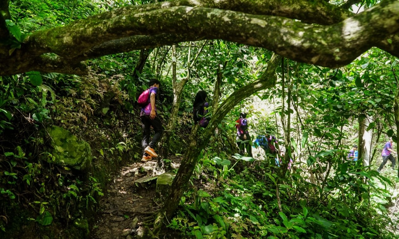 <p id="isPasted">Rekomendasi Trekking Tipis-Tipis di Sekitaran Jakarta untuk Pemula</p>