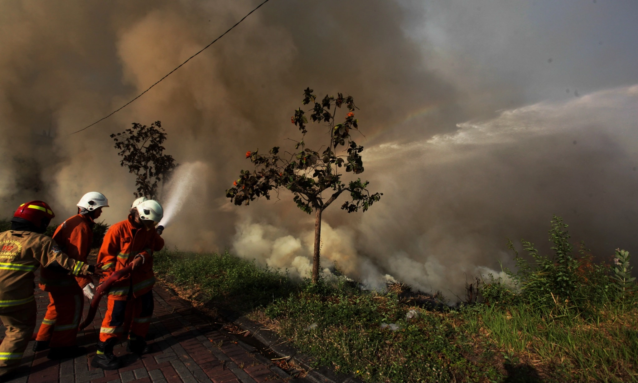 <p>Menhut Pastikan Luas Karhutla Menurun Di 2025</p>