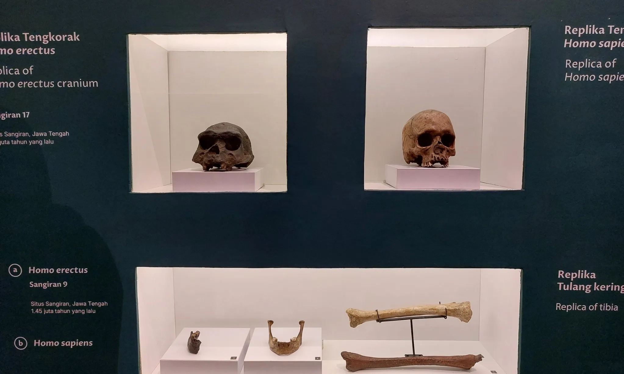 <p>Kemenbud Siapkan Narasi Sebagai Peradaban Tertua Dunia</p>