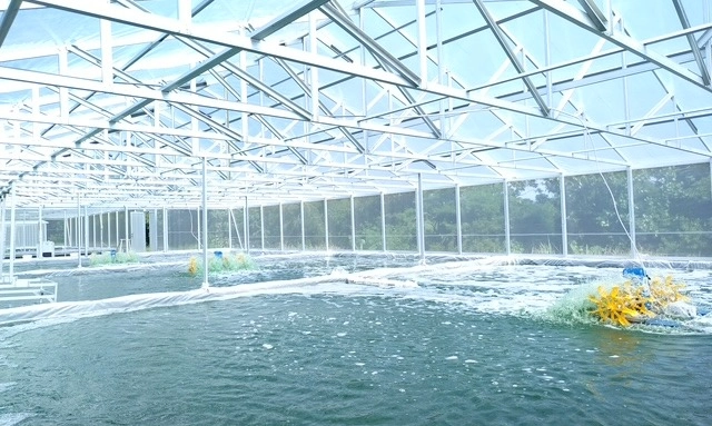 <p id="isPasted">Manfaat Mikroalga Serta Potensi Besar Bagi Kehidupan Dan Lingkungan</p>