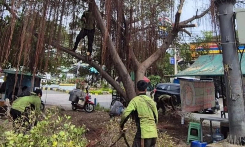 <p>Pramono Minta 5.000 Pohon Dipasangi Penyangga</p>
