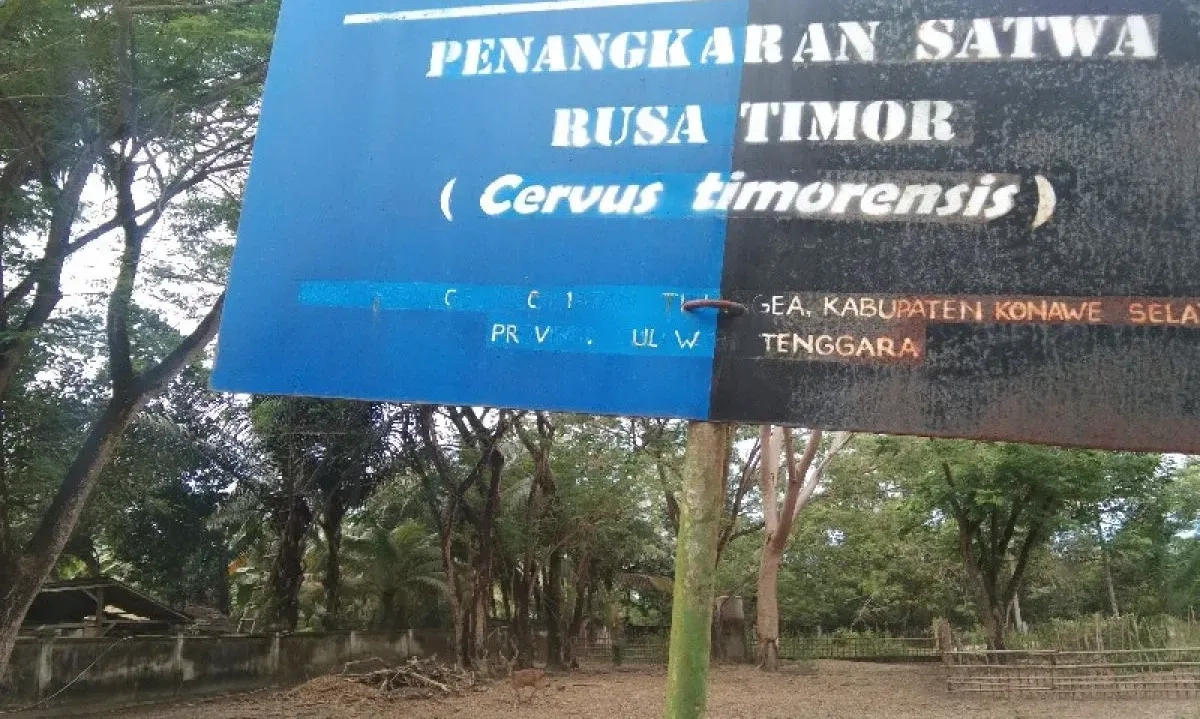 <p>Menhut Sarankan Relaksasi Izin Penangkaran Satwa Langka</p>