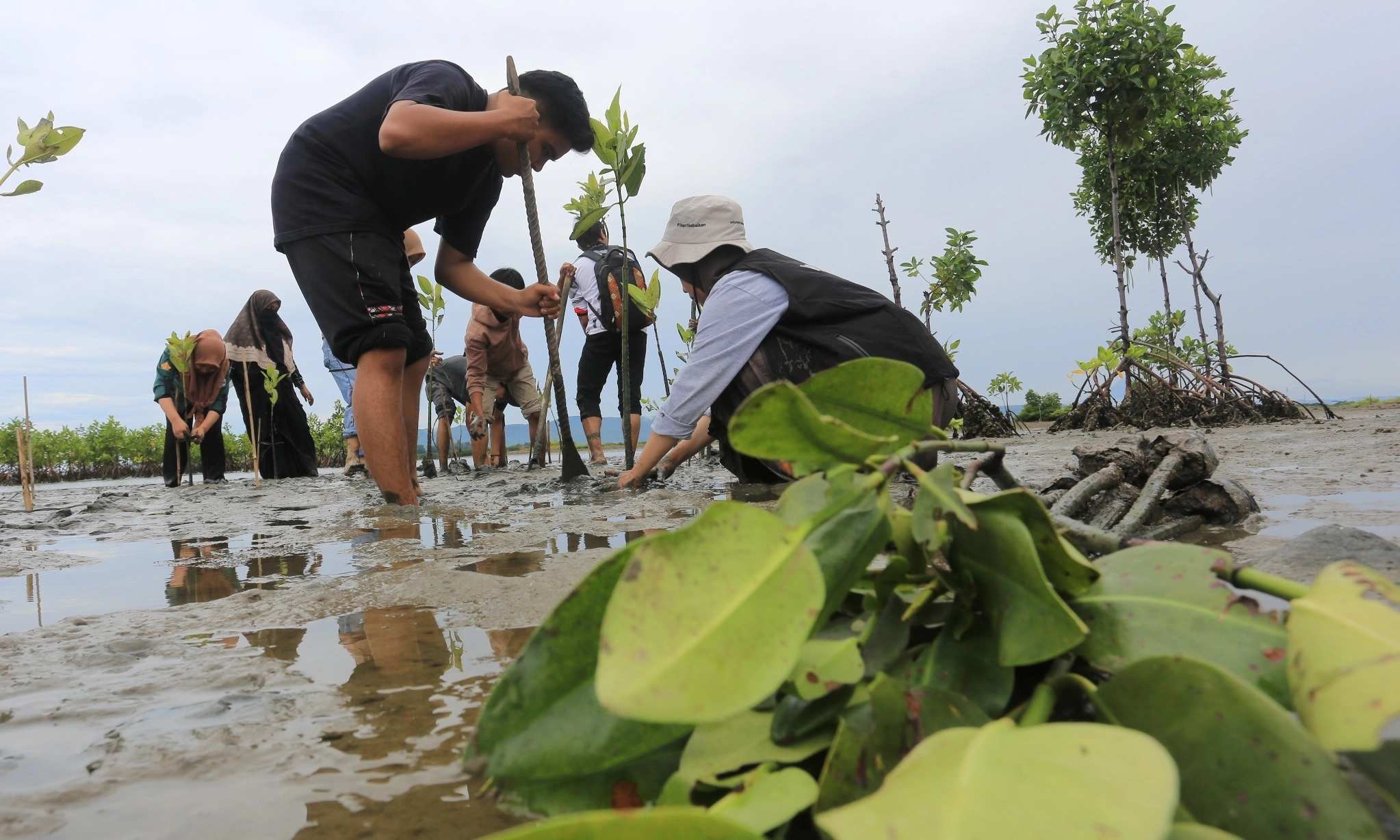 <p>Anak Muda Perhatikan Kebijakan Terkait Lingkungan</p>