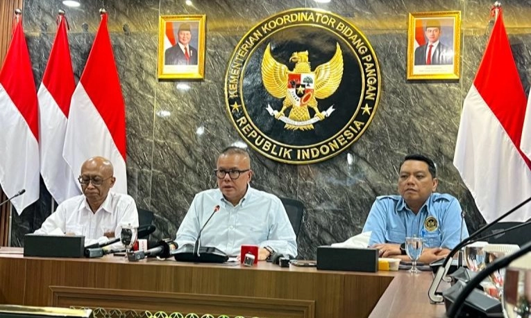 <p id="isPasted">Usai Dekontaminasi, Pemerintah Klaim 22 Pabrik Di Cikande Bebas Cs-137</p>