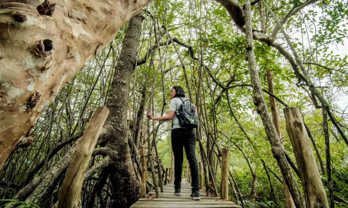 <p>Menaker Ajak Kampus Siapkan SDM Kompeten Isi 1,5 Juta <em>Green Jobs</em></p>