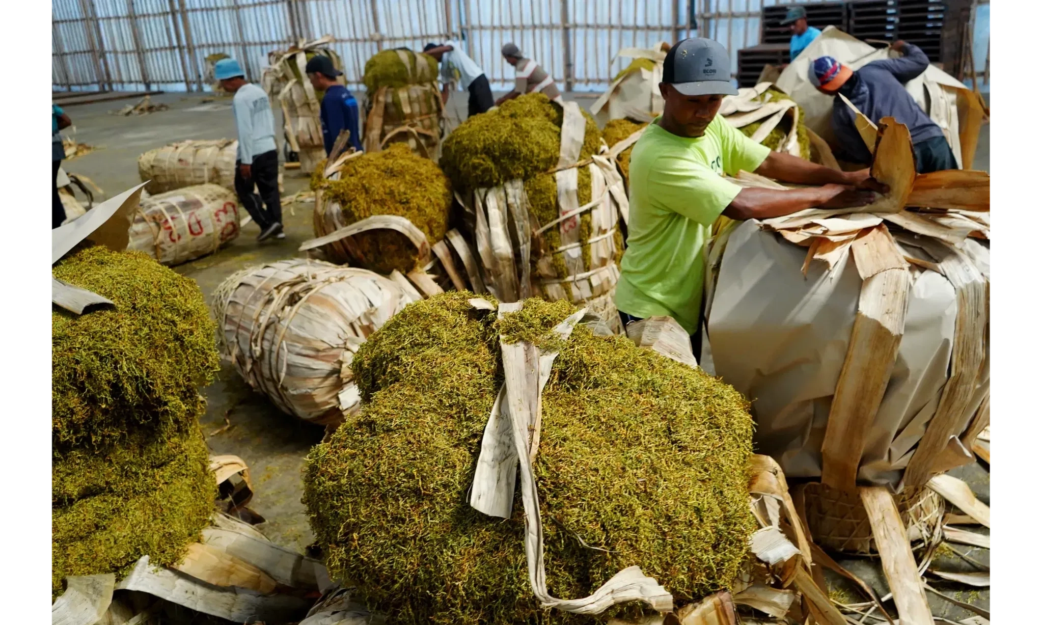 <p id="isPasted">Sektor Industri Pengolahan Tembakau Dan Kertas Bukukan Nilai IKI Tertinggi Oktober</p>