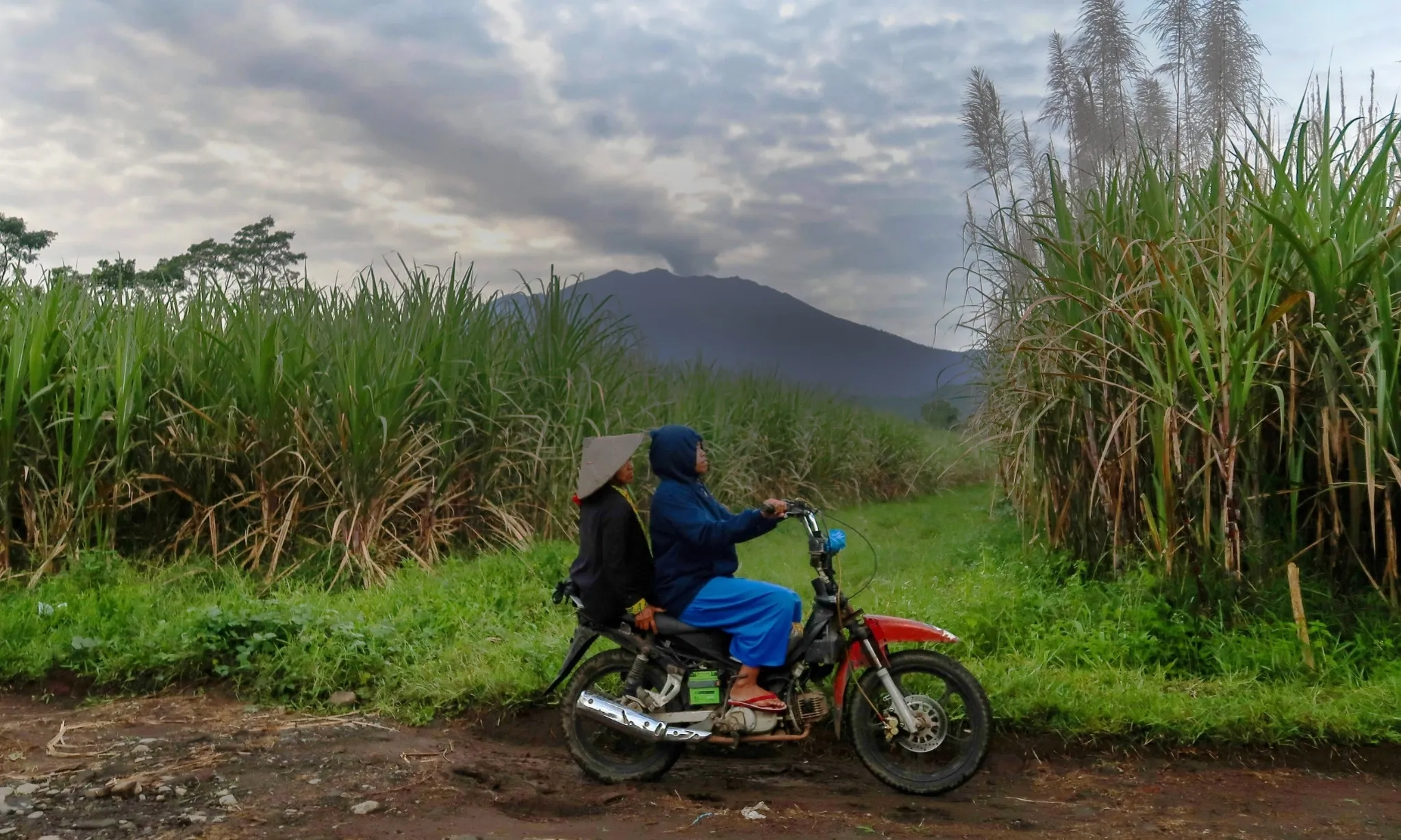 <p id="isPasted">Potensi Emisi Dari BBM Hijau</p>