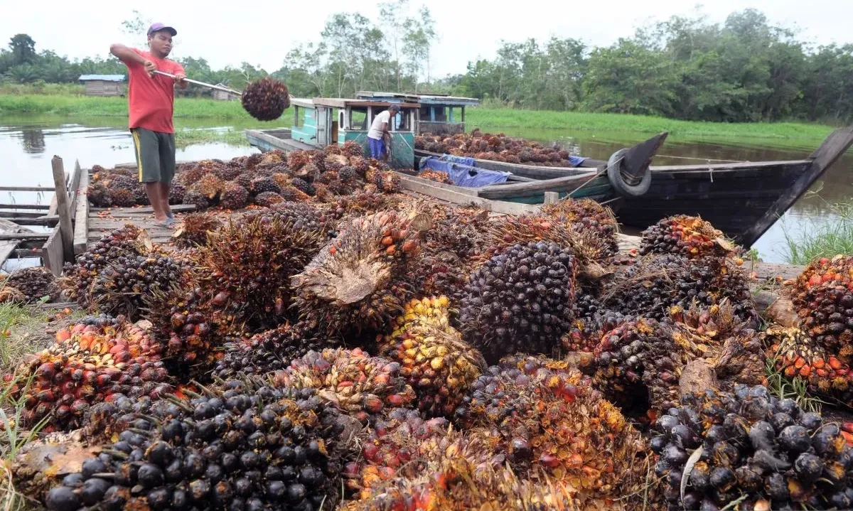 <p>Ekspor RI Naik 8,14%, Terdongkrak Industri Pengolahan-Pertanian</p>