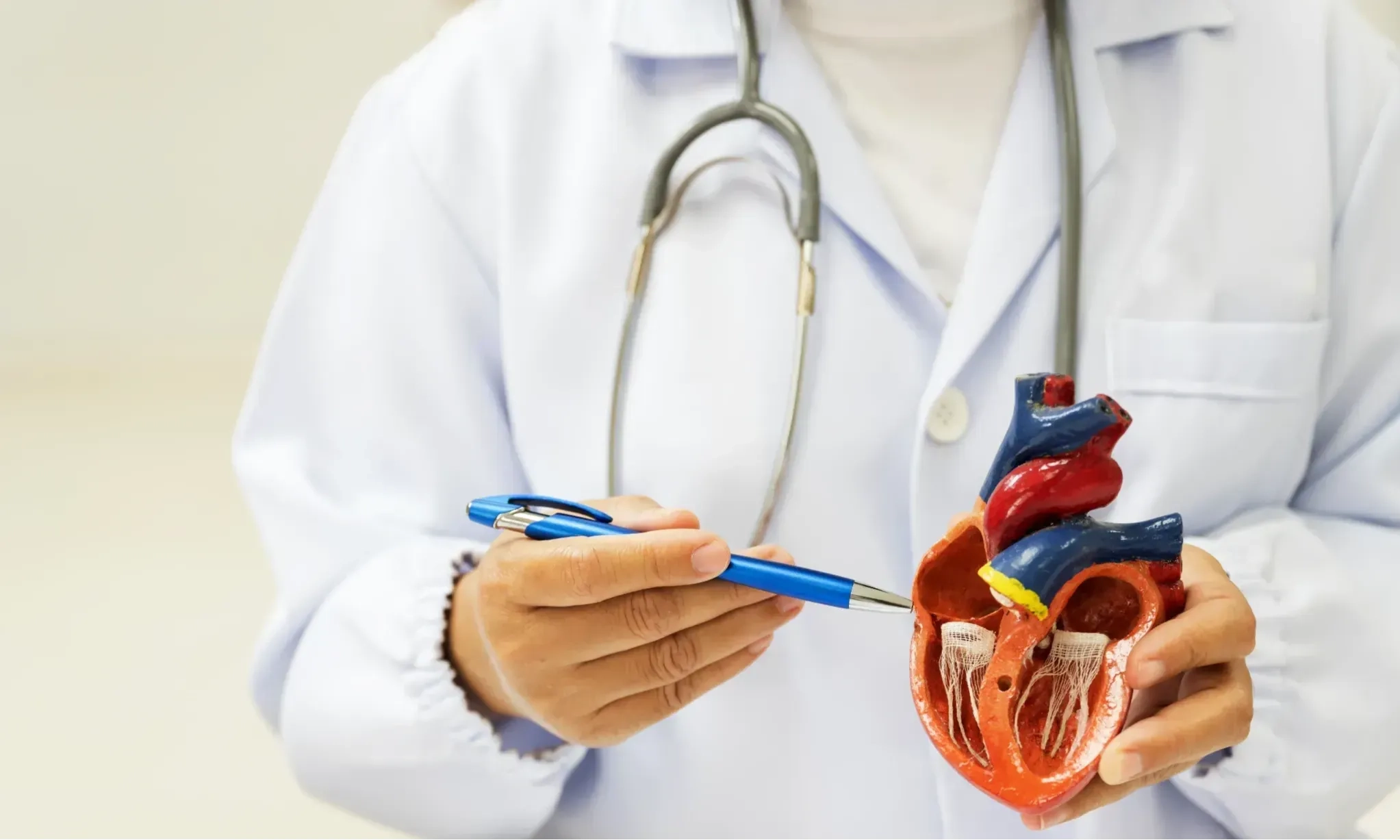 <p id="isPasted">Mewaspadai Aritmia Pemicu Kematian Mendadak Pada Usia Muda</p>