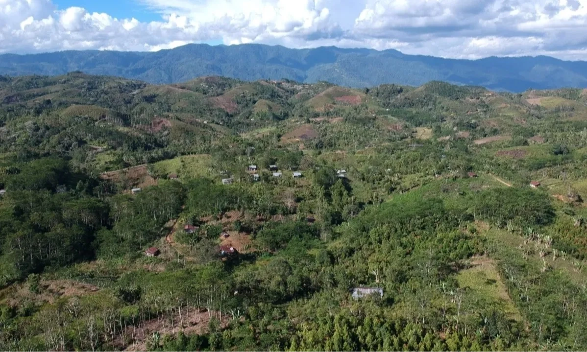 <p>Kemenhut Percepat Penetapan 1,4 Juta Ha Hutan Adat&nbsp;</p>