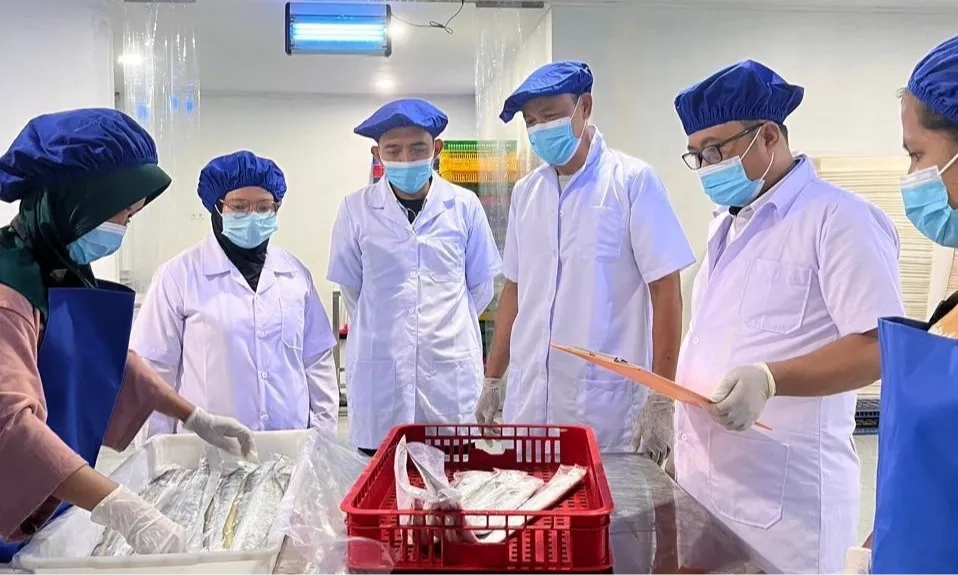 <p id="isPasted">KKP Tambah 35 Perusahaan Ekspor Produk Perikanan Ke Vietnam</p>