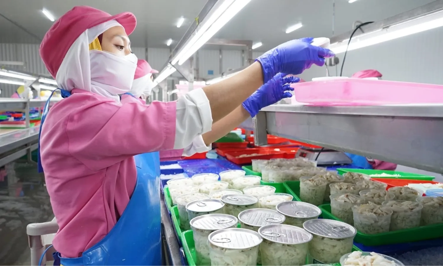 <p id="isPasted">KKP Terbitkan Petunjuk Teknis Untuk Permudah Ekspor Rajungan Ke AS</p>