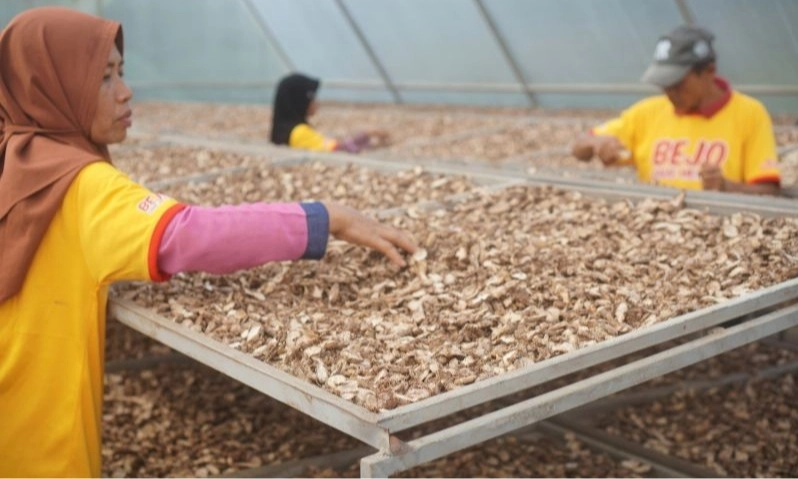 <p id="isPasted">Punya Kekayaan Alam Melimpah, Menperin Genjot Hilirisasi Untuk Bahan Baku Obat</p>