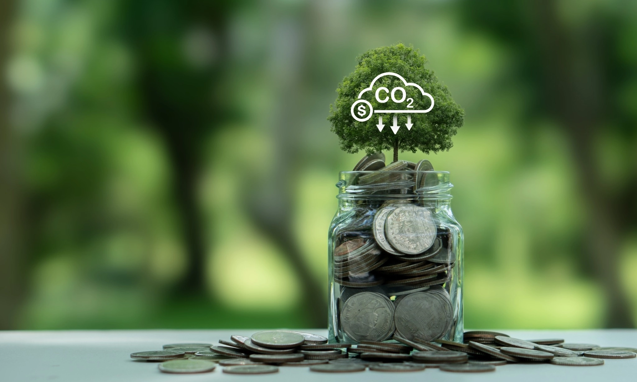 <p><em>Climate Finance&nbsp;</em>Di Indonesia Dan Peranan Untuk Transisi Ekonomi Hijau</p>