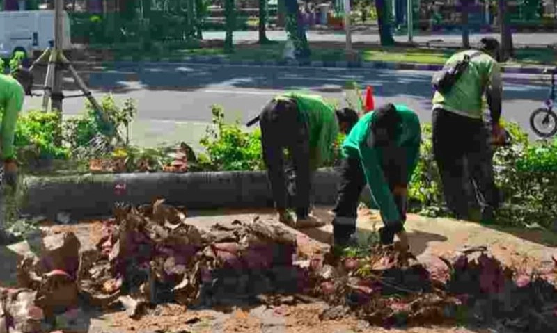 <p>Jakarta Pangkas Pohon Antisipasi Puncak Musim Hujan</p>