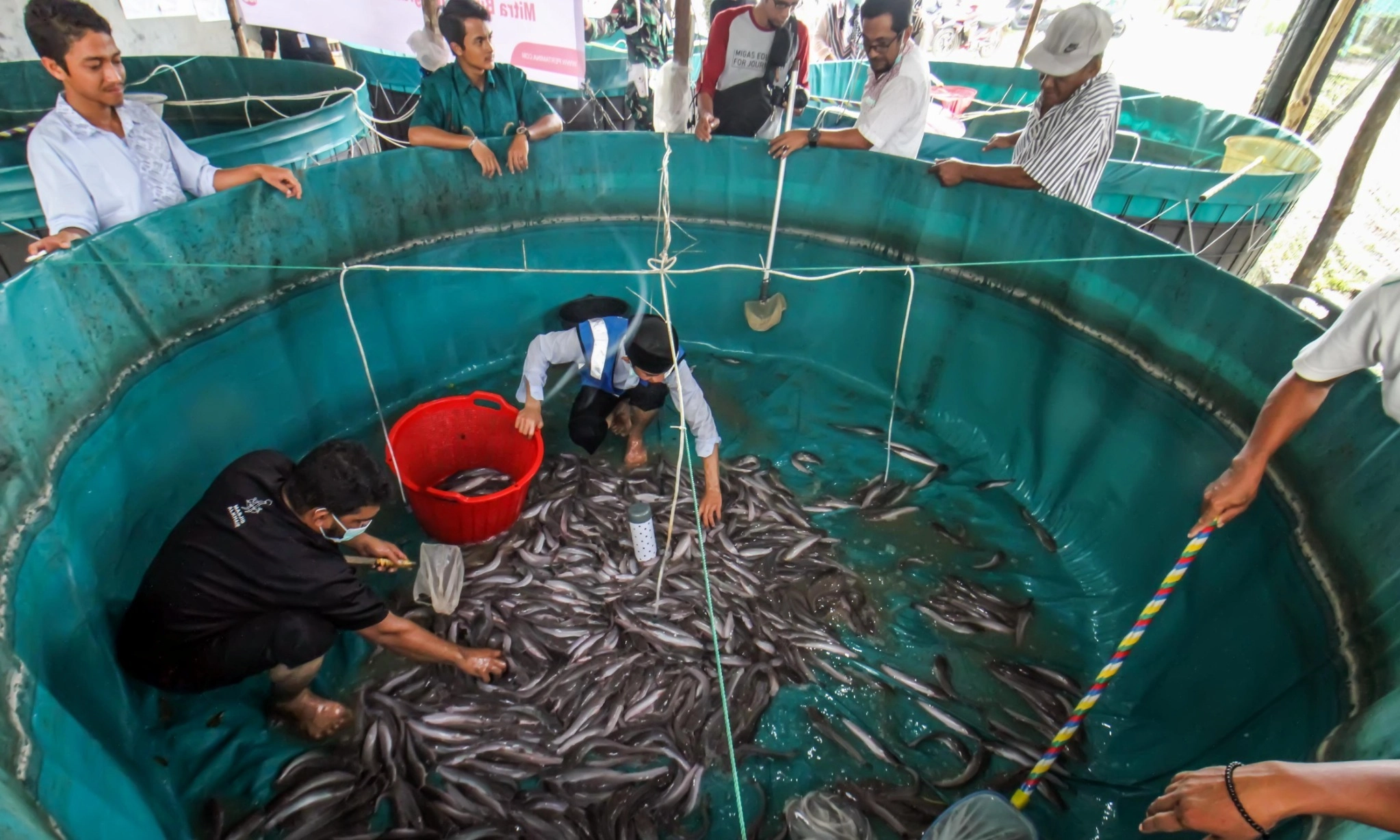 <p>Bioflok Bisa Jadi Alternatif Penghasilan Nelayan Batam</p>