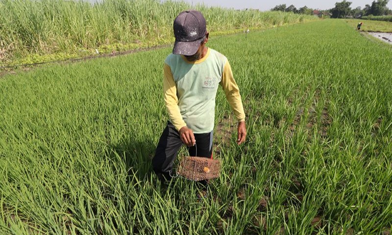 Awas, Jebak Tikus Dengan Listrik Bisa Berujung Pidana