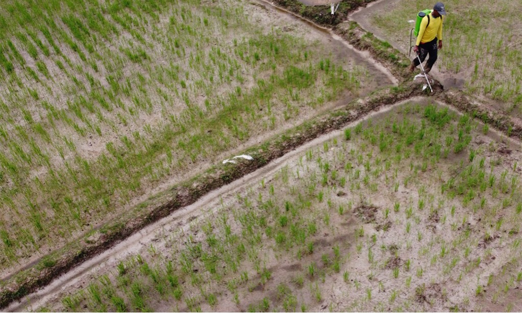 Pemerintah Siap Daratkan Investasi Pupuk Kaltim Ke Fakfak