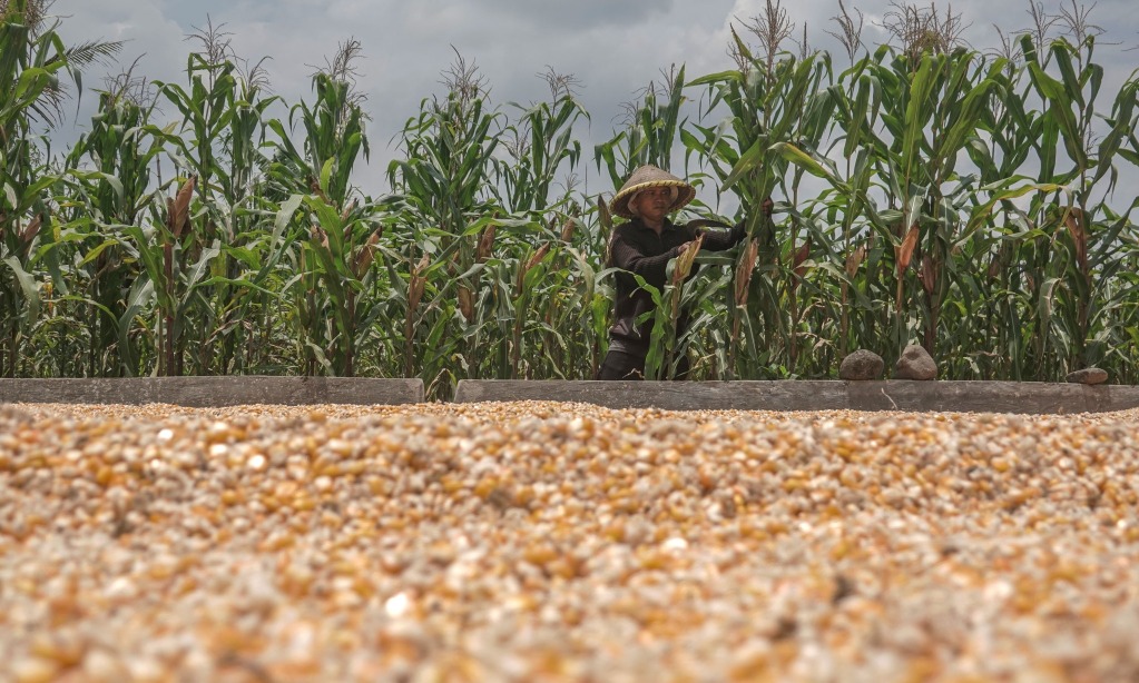 Legislator Minta Kementan-Kemendag Konsolidasi Data Komoditas