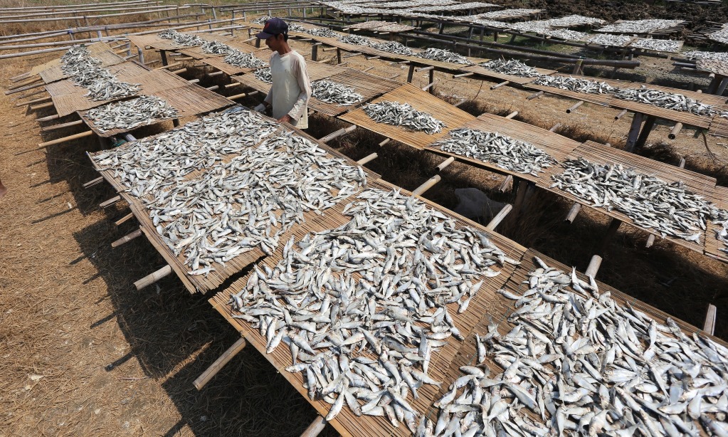 KKP Matangkan Skema Penangkapan Terukur Dan Pungutan PNBP