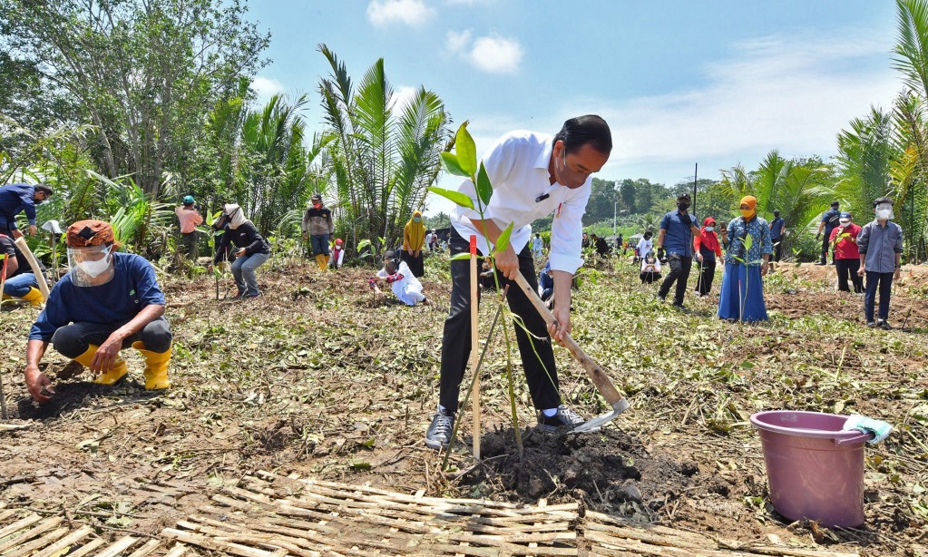 Jokowi Yakin, Indonesia Masih Berpeluang Tingkatkan Ekspor