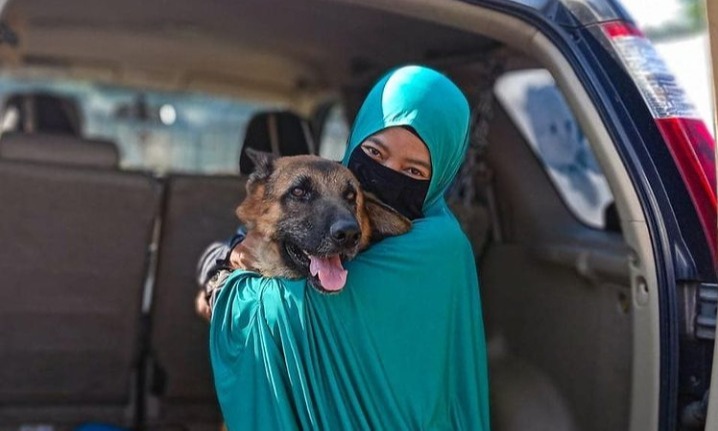 Cerita Perempuan Pelindung Hewan