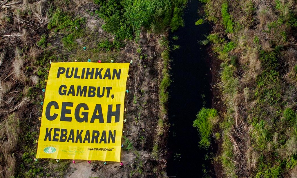 KLHK Sebut Permintaan Greenpeace Tidak Konsisten