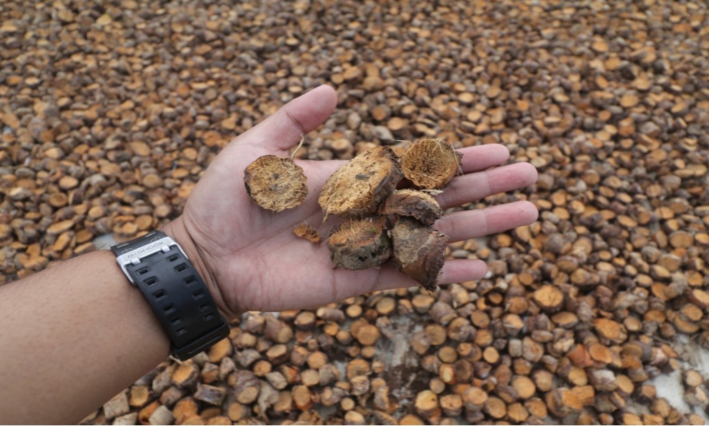 Emiten Farmasi Phapros Bidik Potensi Pengembangan Obat Herbal