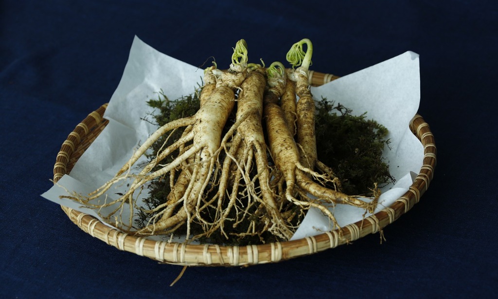 Ginseng Untuk Turunkan Gula Darah Pasien Diabetes