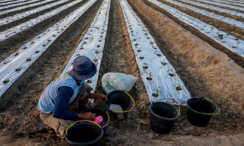 Peneliti Pertanyakan Efektivitas Program Pupuk Bersubsidi
