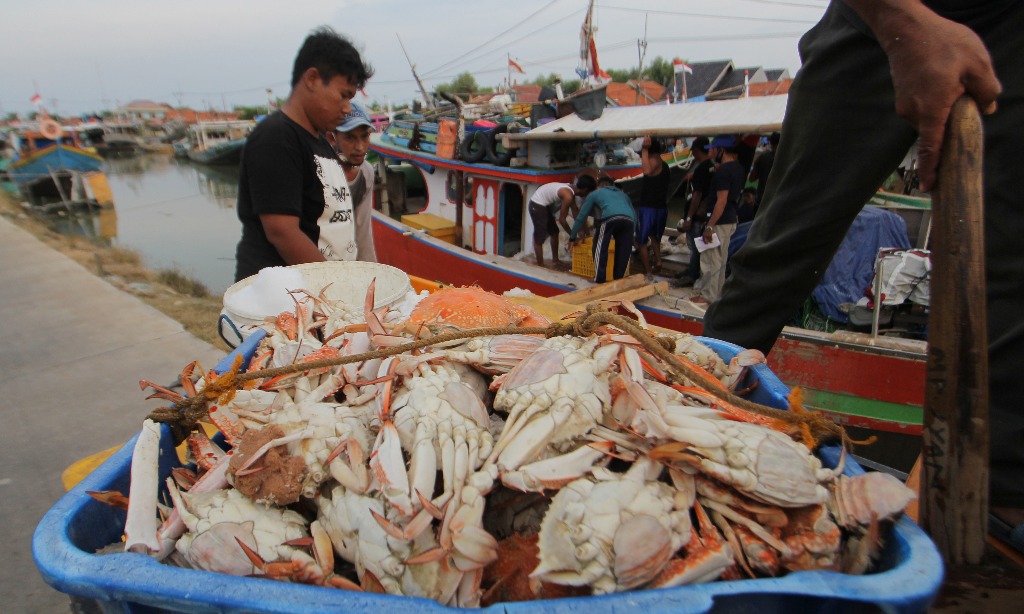 Kemendag Dukung Startup Ekspor Rajungan US$500 Ribu