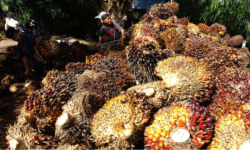 Bertemu Menhan Prancis, Menlu Retno Bahas Diskriminasi Sawit