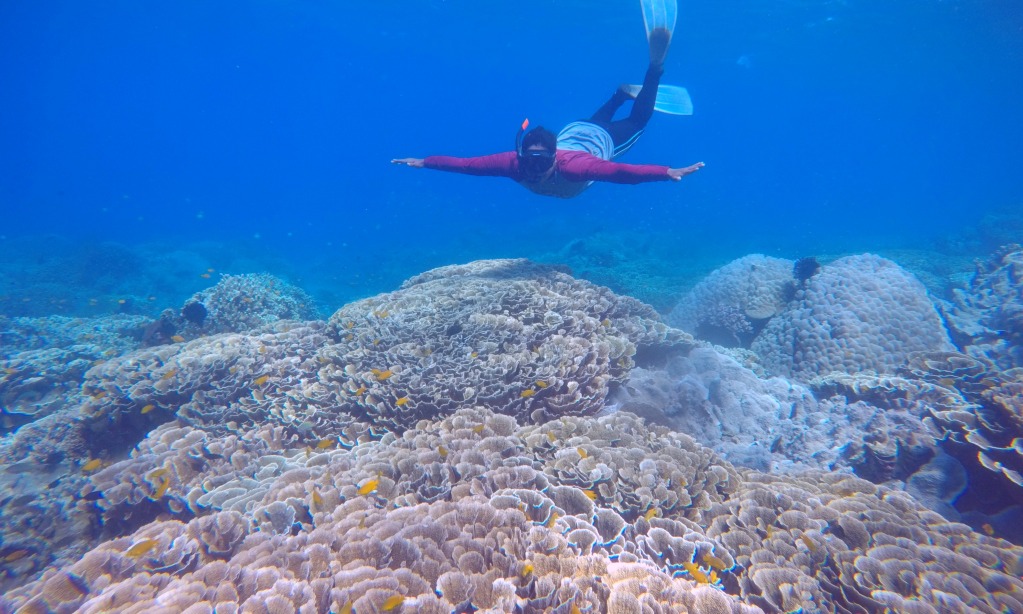 Dukung Konservasi, KKP Kucurkan Rp97 Juta Untuk Tuah Basamo Diving