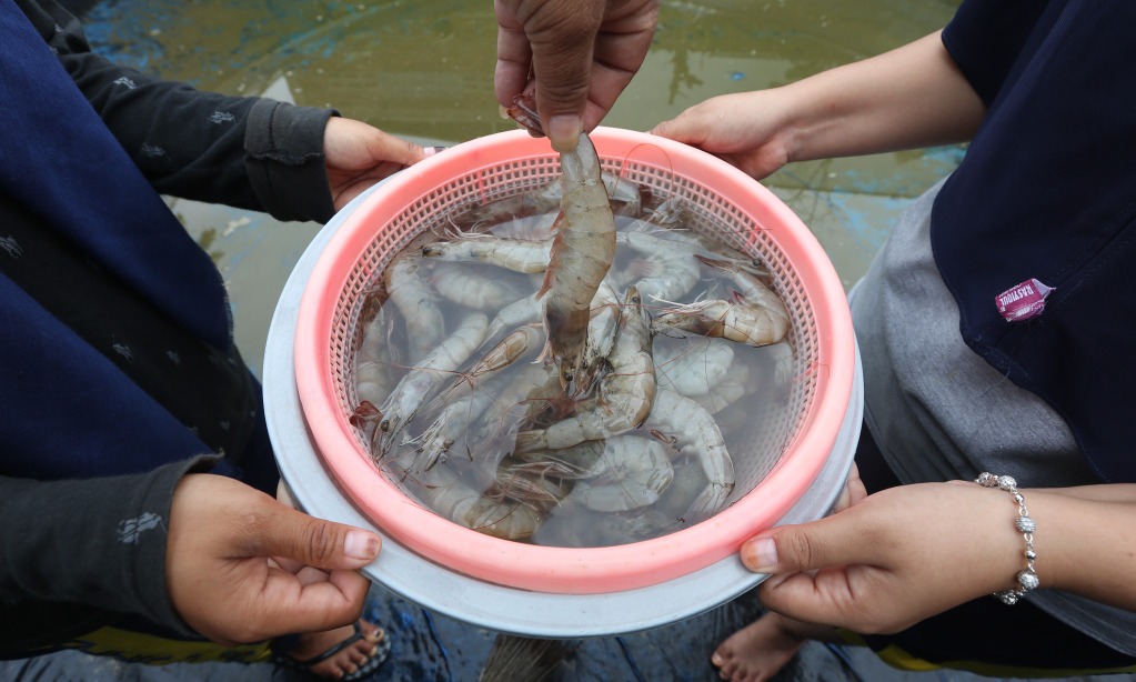 Aceh Perlu Investor Dirikan <i>Cold Storage</i>