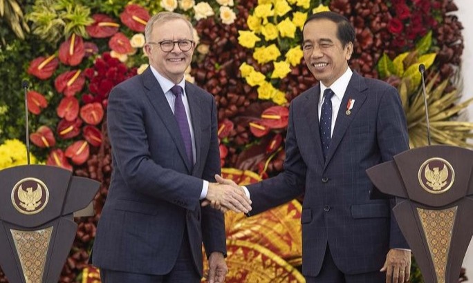 Bertemu Albanese, Jokowi Angkat Kesempatan Kerja WNI di Australia