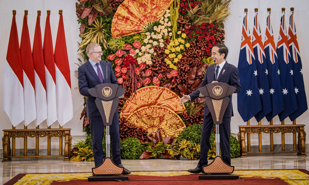 KADIN: Kunjungan Albanese Momen Dongkrak Pemanfaatan IA-CEPA