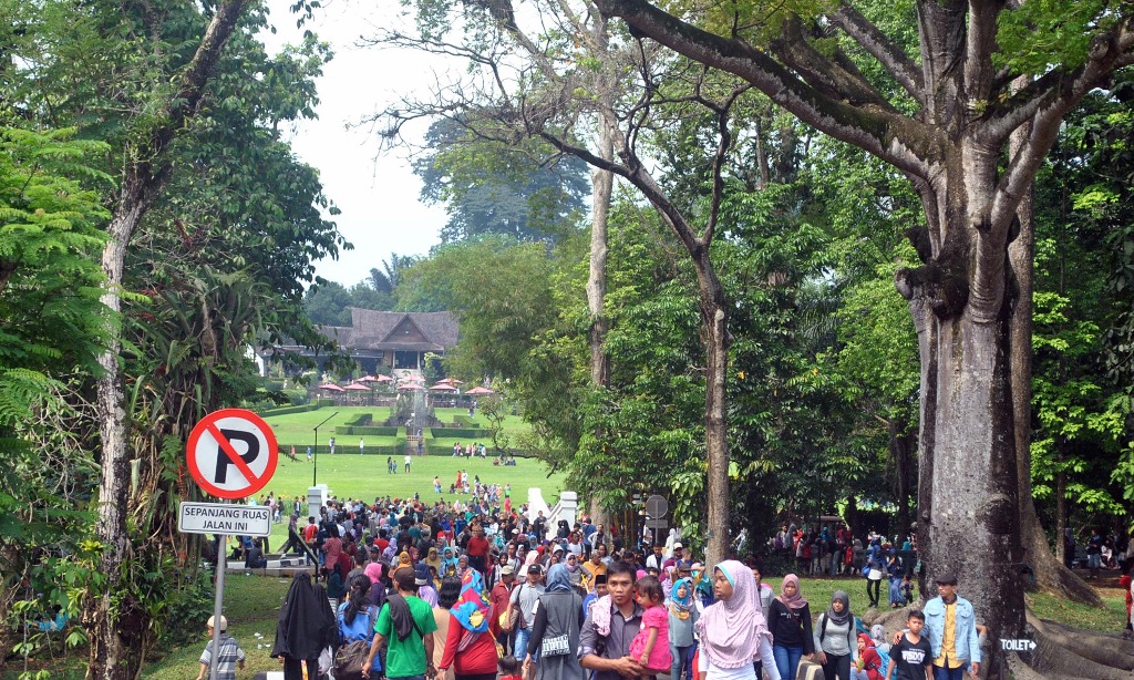 Kebun Raya Bantu Atasi Masalah Kehilangan Biodiversitas