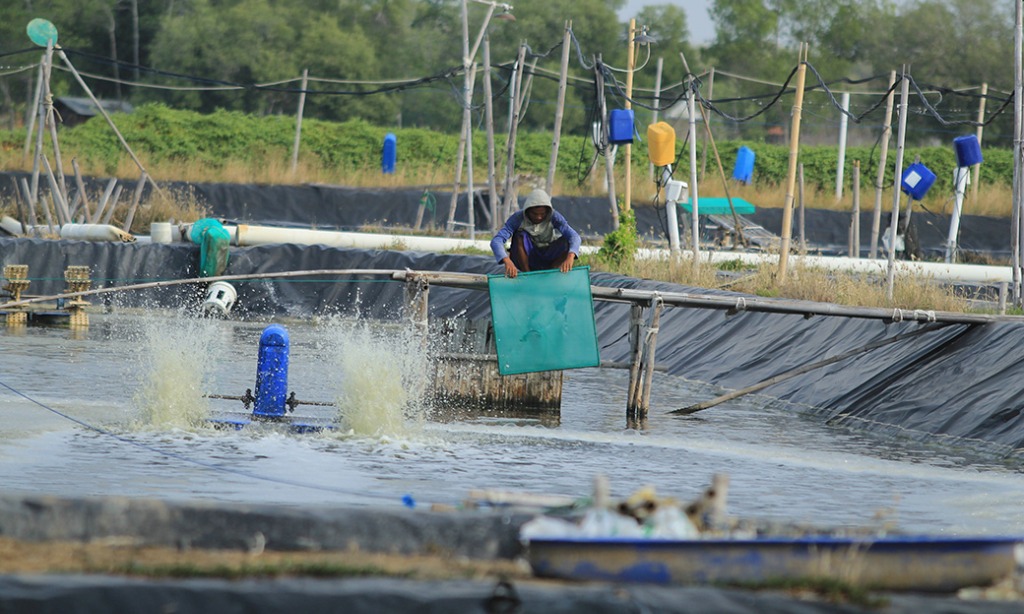 KKP-ATR/BPN Janjikan Kemudahan Sertifikasi Tanah Pembudi Daya Ikan